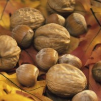 Ресни от орехи борят хемороидите