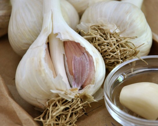 2-garlic