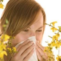astma alergia
