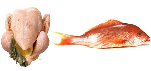 debelo-chiken fish