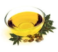 Рициновото масло притежава мощни антиоксидантни свойства