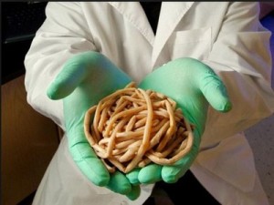 паразитите