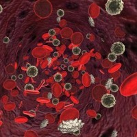 Кръвен здравец и коприва борят анемията