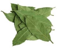 дафинов лист