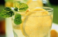 lemon-mint-cocktail
