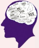 Brain-Personality-image