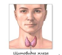 мария-каракушева-щитовидна-жлеза
