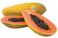 papaya-semena