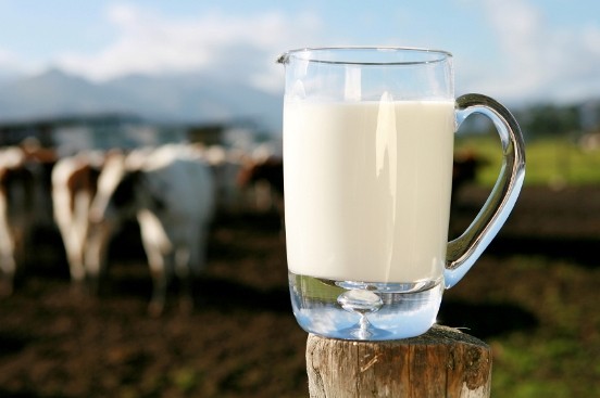 debelo_milk