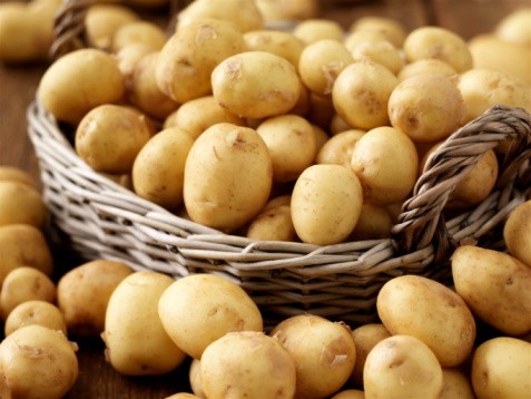 British new potatoes