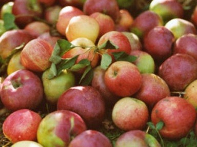 Здравословна рецепта с ябълки