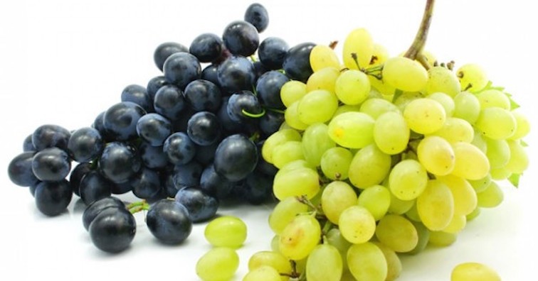 Екстрактът от гроздови семки е изпитана съставка за лечение на множество заболявания