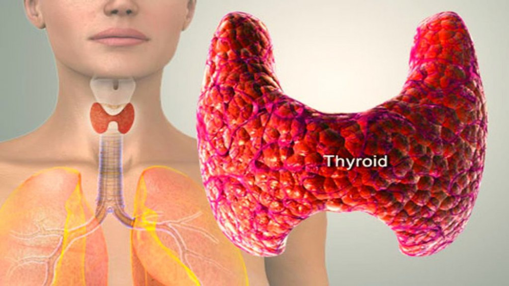 щитовидна жлеза - лечение - билки