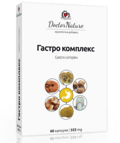 Гастро комплекс