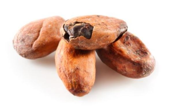 какаови зърна помагат при анемия
