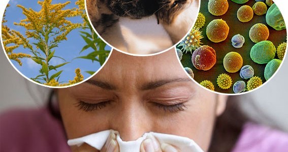 Алергия към полени