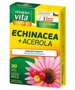 Ехинацея Ацерола