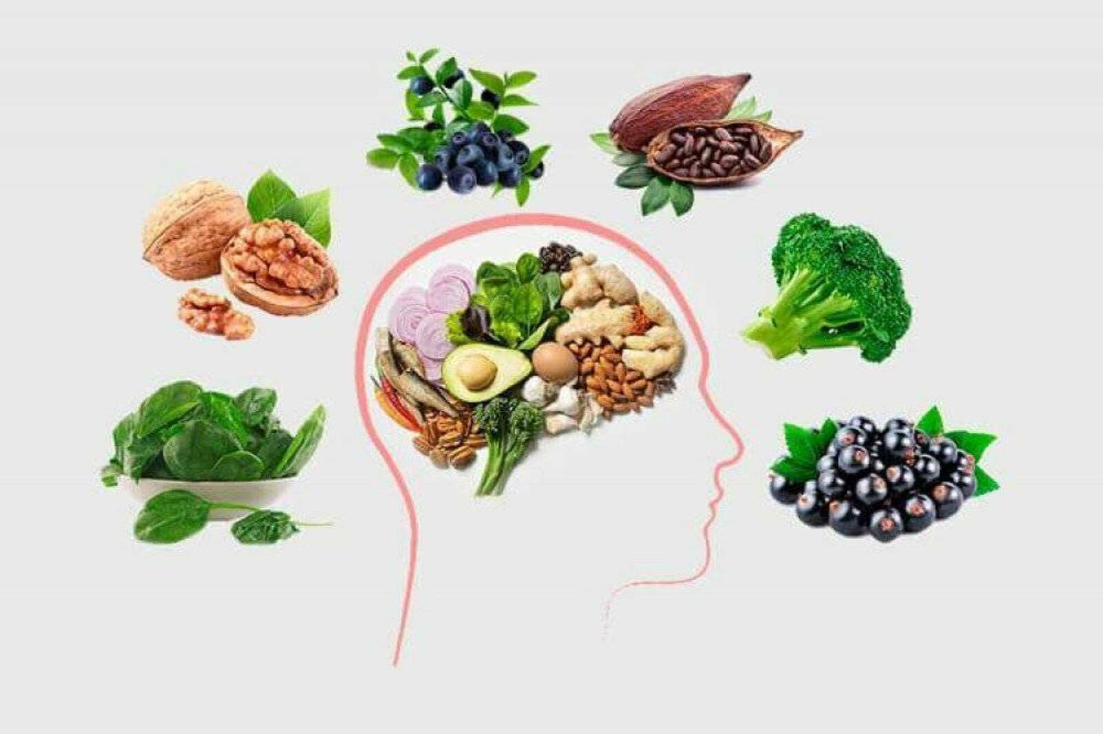 памет и концентрация