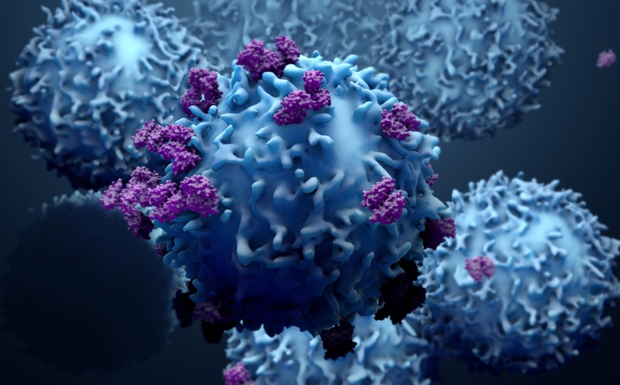 Т-клетъчен имунитет