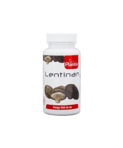 Lentinan Шийтаке – понижава холестерола в кръвта, пази сърцето, укрепва имунитета