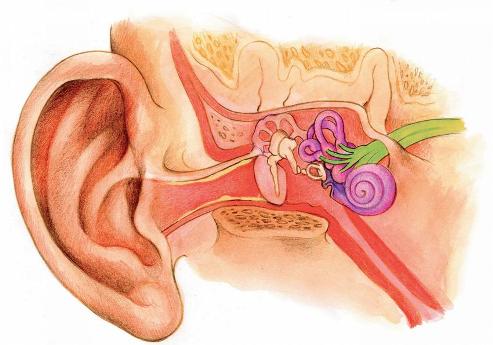 Бабини рецепти при възпален нерв, мехлем за възпален нерв отит