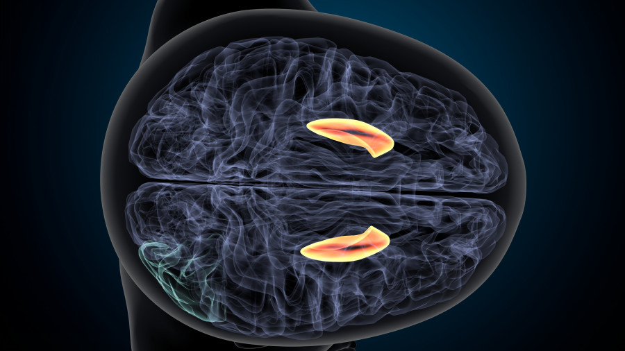 Аденом на хипофизата симптоми и лечение аденом на хипофизата