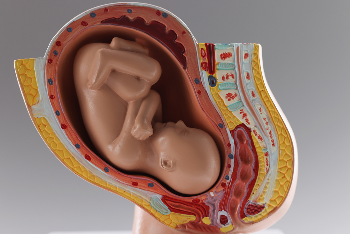 бременна жена