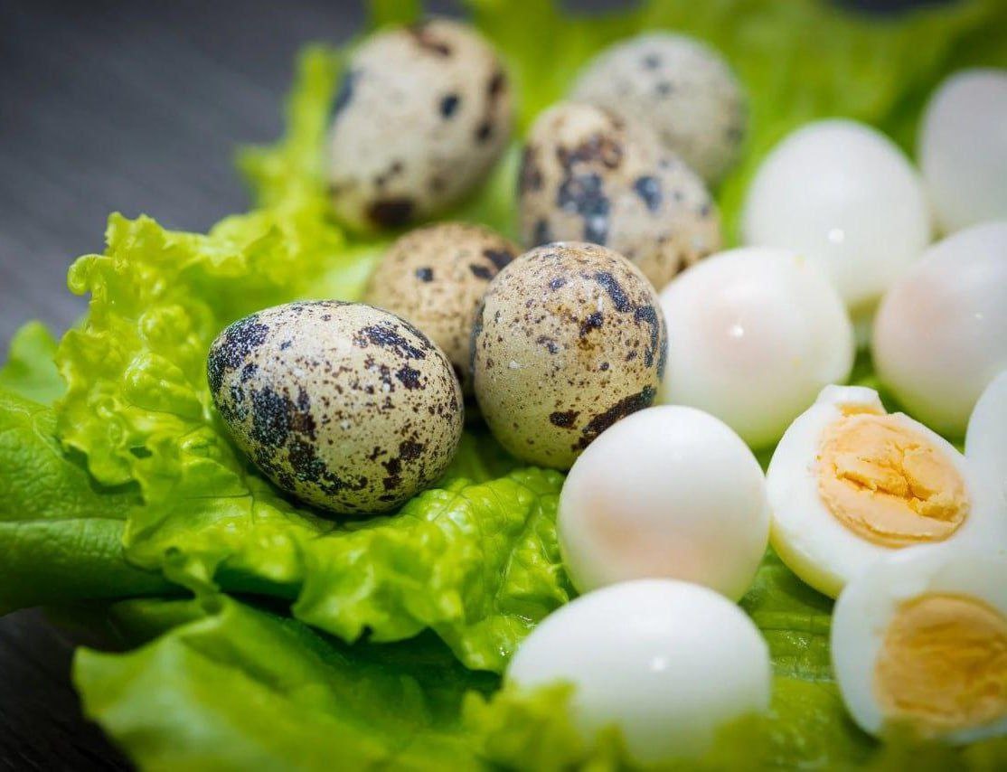 пъдпъдъчите яйца