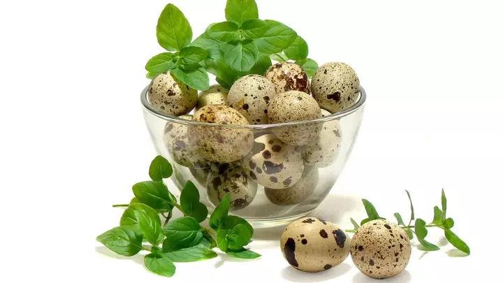 пъдпъдъчи яйца